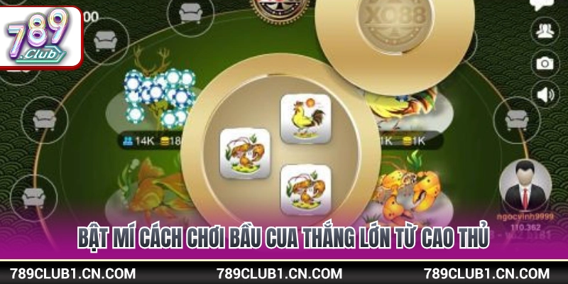 Cách Chơi Bầu Cua Online Chuẩn Xác Ăn Tiền Lớn Tại 789Club 4 Bí quyết ghi nhớ mặt xúc xắc và bắt vị bầu cua ăn trọn thưởng